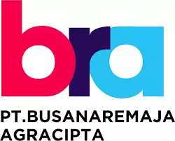 pt BRA